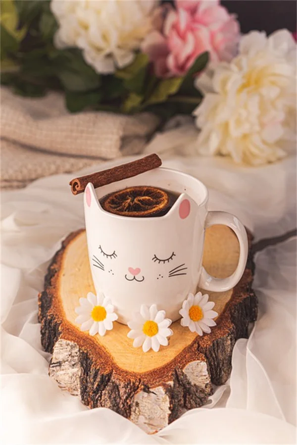 アウトドアキャビネットの選び方：3年間で試した3タイプと後悔しないための5つのポイント
