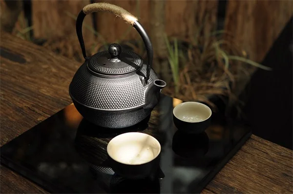 予算内で買える高見え植木鉢6選｜選び方とお手入れのコツ