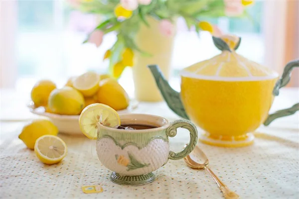 Kris Jennerのピンクの花はブーゲンビリア！室内で再現するコツ