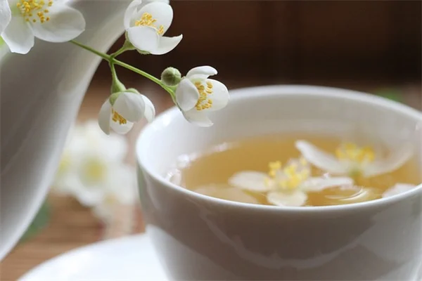 6月に剪定しないと後悔する8つの植物と正しいタイミング